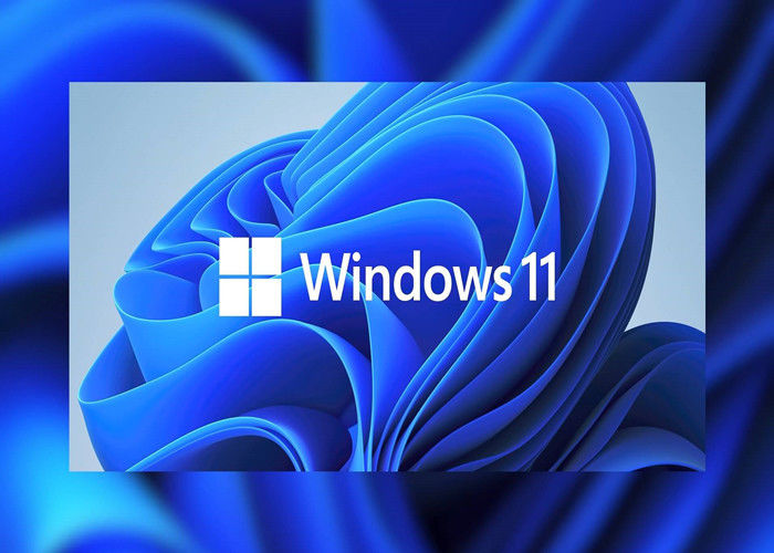 UEFI OEM DVD Windows License Key Paket Lengkap TPM 2.0 Microsoft Windows 11 Pro