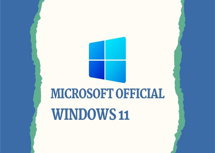 Versi Prancis TPM Microsoft Windows 11 Home Retail Full Box WIP UEFI